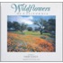 Wildflowers of California