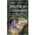 Wildlife Of The Galapagos