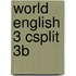 World English 3 Csplit 3b