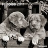 2011 Puppies Grid Calendar door 2011 teNeues