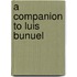 A Companion To Luis Bunuel