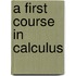 A First Course In Calculus