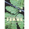 A Natural History Of Ferns by Robbin C. Moran