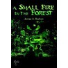 A Small Fire In The Forest door James Rozhon