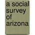 A Social Survey Of Arizona