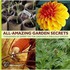 All Amazing Garden Secrets