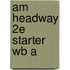 Am Headway 2e Starter Wb A