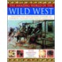 Amazing World of Wild West