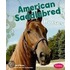 American Saddlebred Horses