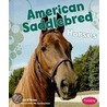 American Saddlebred Horses door Kim O'Brien