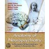 Anatomy Of Neuropsychiatry