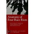 Anatomy of Four Race Riots