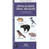 Appalachian Trail Wildlife