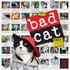Bad Cat Wall Calendar 2011