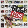 Bad Dog Wall Calendar 2010 door Cc Workman Publishing Company