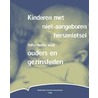 Kinderen met niet-aangeboren hersenletsel door P.H. Vrancken