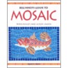 Beginner's Guide To Mosaic door Peter Massey