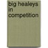 Big Healeys In Competition