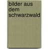Bilder Aus Dem Schwarzwald door Friederich Ludwig Buehrlen