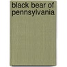 Black Bear of Pennsylvania by Henry Wharton Shoemaker