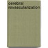 Cerebral Revascularization