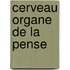 Cerveau Organe de La Pense