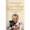 Cesar Millans Welpenschule door Cesar Millan