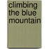 Climbing the Blue Mountain