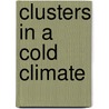 Clusters In A Cold Climate door Matthew Lucas
