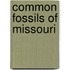 Common Fossils Of Missouri