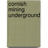 Cornish Mining Underground door J.A. Buckley