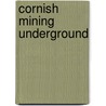 Cornish Mining Underground by J.A. Buckley