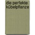 Die perfekte Kübelpflanze
