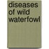 Diseases of Wild Waterfowl