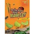Do You Know about Insects?