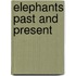 Elephants Past and Present