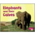 Elephants and Their Calves
