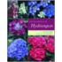 Encyclopedia of Hydrangeas