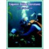 Engineer Diving Operations