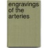 Engravings of the Arteries