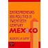 Entrepreneurs & Politics C