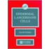 Epidermal Langerhans Cells