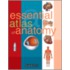 Essential Atlas of Anatomy