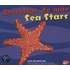 Estrellas de Mar/Sea Stars