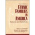 Ethnic Families In America
