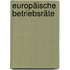 Europäische Betriebsräte