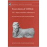 Excavations at Tell Brak 2 door Helen McDonald