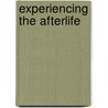 Experiencing the Afterlife door Manuele Gragnolati
