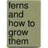 Ferns And How To Grow Them