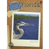 Florida Plants and Animals